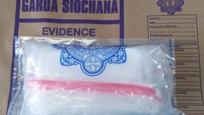 Gardai carry out drugs raids in Leitrim 