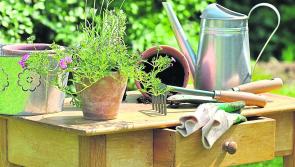 GARDENING: Top tips for what to do this May