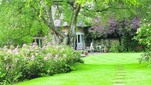 GARDENING: A cautious welcome for new garden enthusiasts