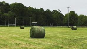 Sign of the times as silage cut on Leitrim GAA pitch