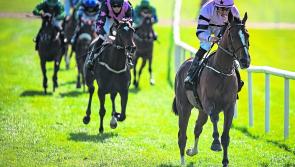 Five racecourses reject media rights deal negotiated by Horse Racing Ireland and say relations have “broken down” 