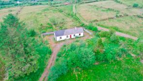 Hundreds of Irish properties going under the hammer in worldwide online auction 