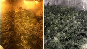 €130,000 Cannabis Grow house detected in Ballymahon