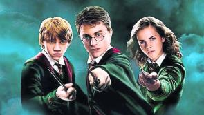 Delve into the magical world of Harry Potter with your county library