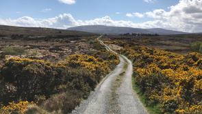 Huge reaction to our request for bog pictures and we want MORE  from the Costa del Sod