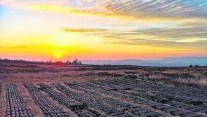 Bog pictures wanted! Show us what's to see working on Leitrim's Costa Del Sod this year