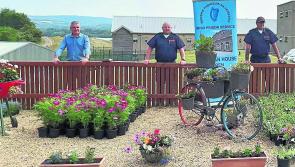 Loughan House donates plants to older members of our community 