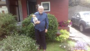 Mircochip sees man reunited with his dog after three years apart
