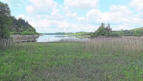Knockranny Woods Walk featured  as one of Ireland’s 25 Best Summer Walks