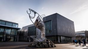 €1.7 million for  third level colleges in Sligo  
