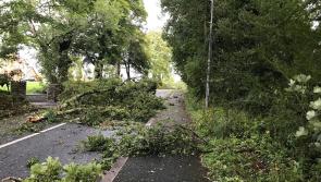 Roads being cleared of trees and debris