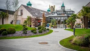 Half-price tours at The Shed Distillery in Leitrim on October  2