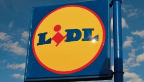 WARNING: Lidl issues recall for vacuum cleaners due to fire risk fears 