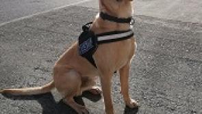 Revenue seize drugs worth €38,000 in Athlone