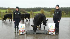 Leitrim students presented with calves in Ireland’s leading Agriculture  Science competition