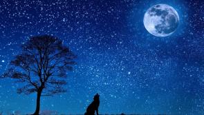 Rare blue moon over Leitrim this Halloween - and astronomy Ireland would love to see your photos