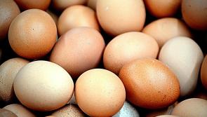 No Egg-ceptions as over 650 million eggs sold in Ireland in the last year