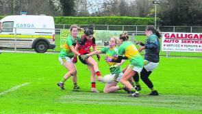 Battling & improving Leitrim undone by clinical Down 
