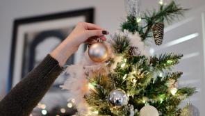 POLL: Leitrim people! Have you put your Christmas tree up yet?