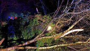 Advice for homeowners and motorists as Storm Barra hits our shores