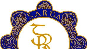 Leitrim calls for no garda to work alone at night