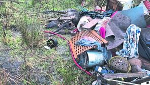 LEITRIM: Looking back at what made the news in January 2020