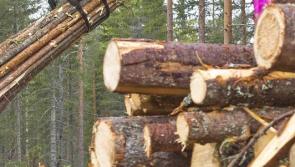 Over one hundred felling licences to be approved in Leitrim