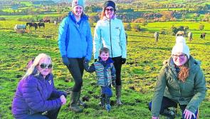 New Year's Day climb up Sheemore