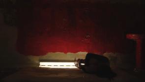 Leitrim filmmaker wins award