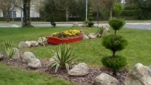 Tidy Towns news from Carrick-on-Shannon