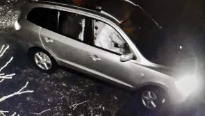 Gardai investigate attempted break in at dog rescue centre