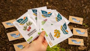 Grow it Forward seed packs now available in Leitrim