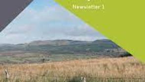 Lissinagroagh Wind Farm project concerns
