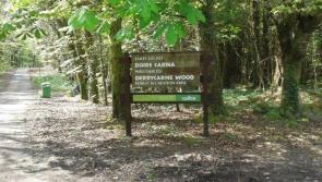 Call for lay-bys near Derrycarne Forest Park entrance