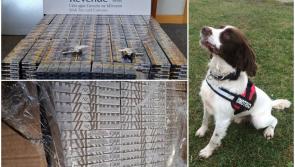 Over 125,000 smuggled cigarettes seized by Revenue officers in two operations