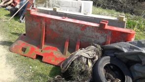 Carrick Tidy Towns news