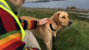 A Leitrim's man Journey into Dusk