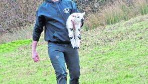 The story of how one young farmer is embracing innovation in a new era of rural living