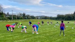 Sinn Féin TD calls for Ballinamore all-weather pitch ahead of election