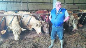 ICSA calls on Department of Agriculture to sort out  Basic Payment delays