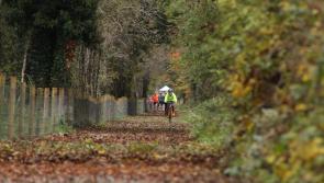 Leitrim to benefit from €110,000 for ringfort developments on each side of the border