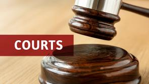 Woman pleads not guilty to murdering her three young children at family home by reason of insanity