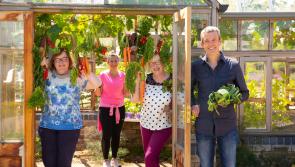 Ireland’s budding GIY'ers invited to join the first ‘Get Ireland Growing Day’