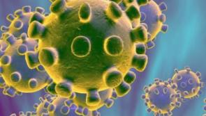 Midlands school has suspected Delta variant case of Covid-19 