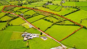 44 acre residential beef farm in Longford sells for €455,000 following competitive online auction