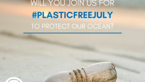 Take up the Plastic Free July challenge 