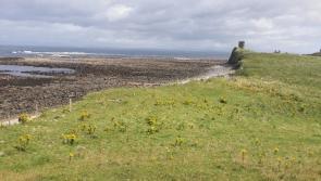 Proposed development of Leitrim's coastline