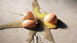 Gardai investigate incident of eggs and beans thrown at Leitrim Village homes
