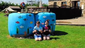 GALLERY 1: Check out some of this year's entries in Leitrim's Stylish Silage competition