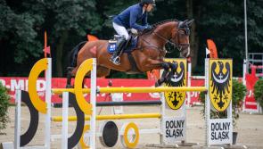Prize-winning Leitrim horse  going  for gold at Tokyo Olympics